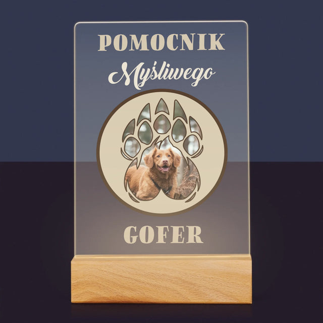 Kształt Ze Zdjęć: Pomocnik Myśliwego - Wydruk Na Szkle Akrylowym