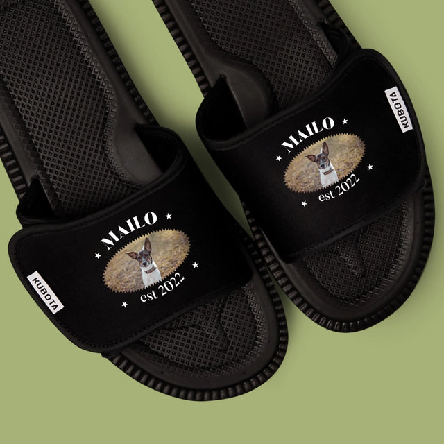 Zdjęcie i Podpis: Pies Established - Klapki Kubota