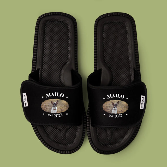 Zdjęcie i Podpis: Pies Established - Klapki Kubota