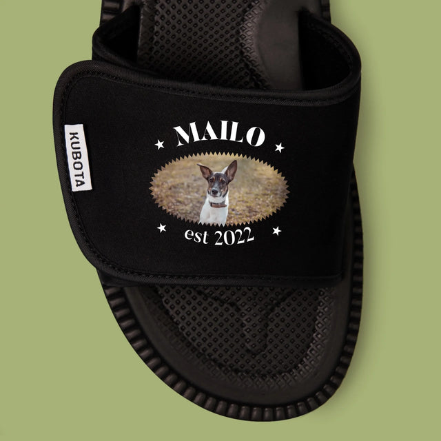 Zdjęcie i Podpis: Pies Established - Klapki Kubota