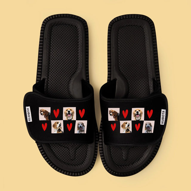 Fotokolaż: Pieski - Klapki Kubota