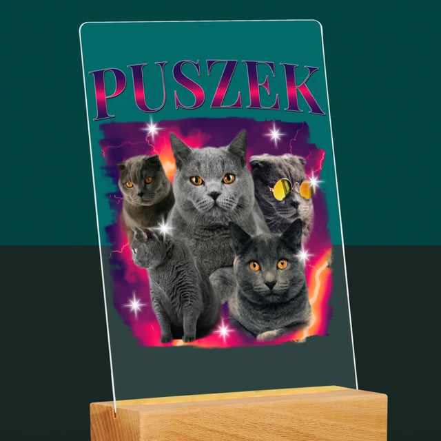 Twoja Postać: Bootleg Z Twoim Kotem - Wydruk Na Szkle Akrylowym