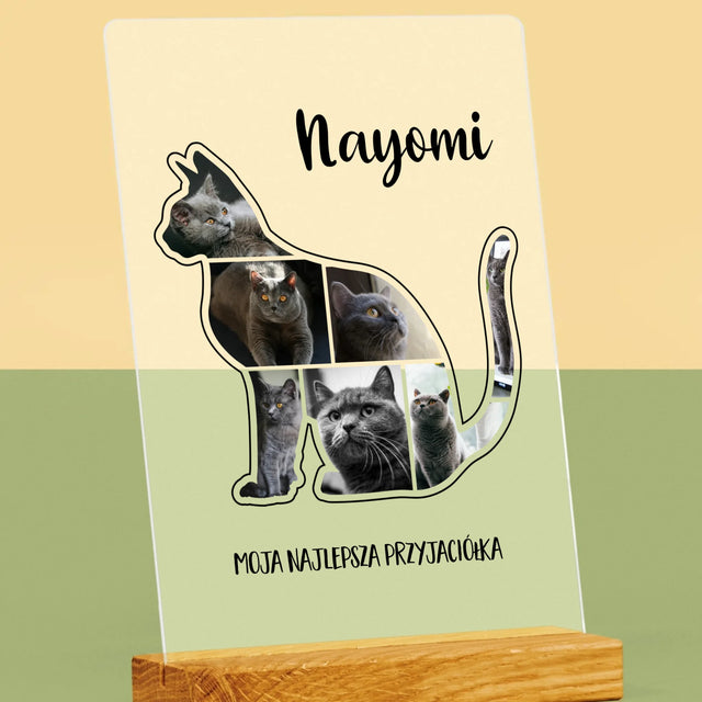 Kształt Ze Zdjęć: Kot Najlepszy Przyjaciel - Wydruk Na Szkle Akrylowym