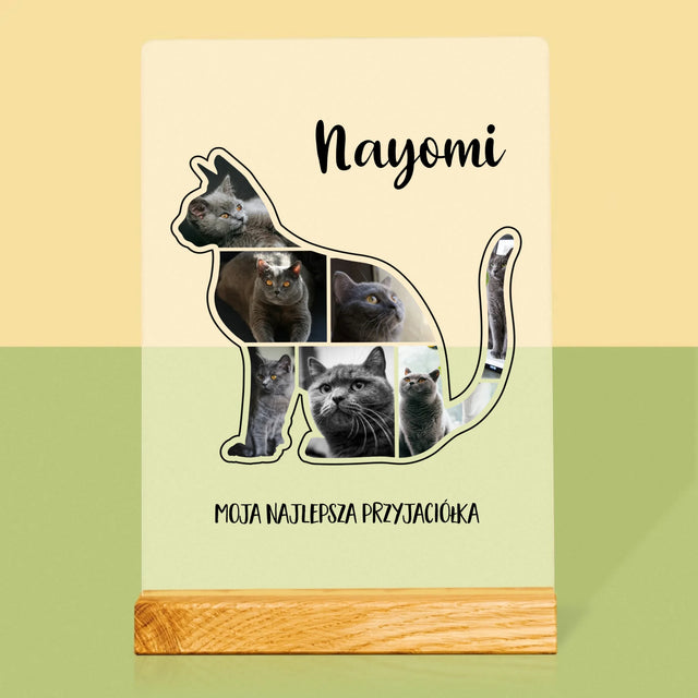 Kształt Ze Zdjęć: Kot Najlepszy Przyjaciel - Wydruk Na Szkle Akrylowym