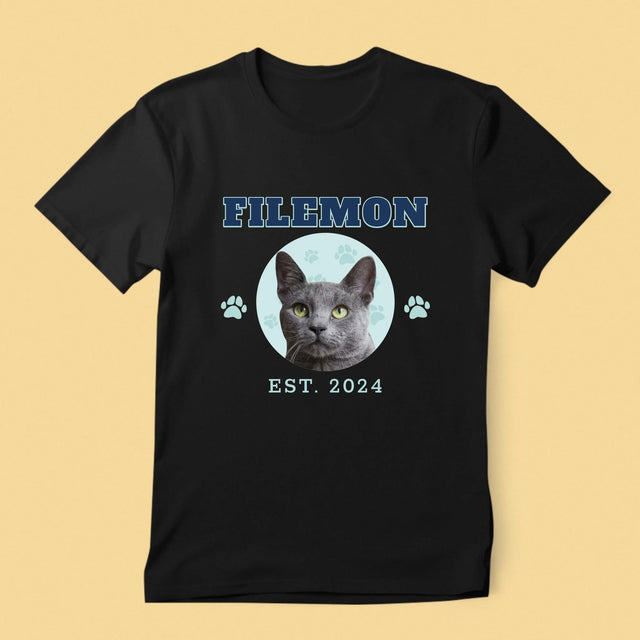 Twoja Postać: Twój Kot Varsity - Koszulka Męska z Nadrukiem