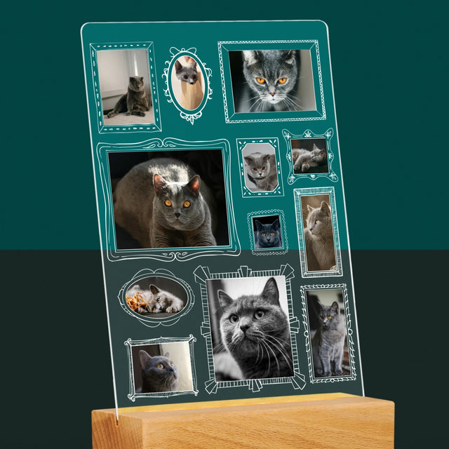 Fotokolaż: Ściana Galerii z Pupilem - Wydruk Na Szkle Akrylowym