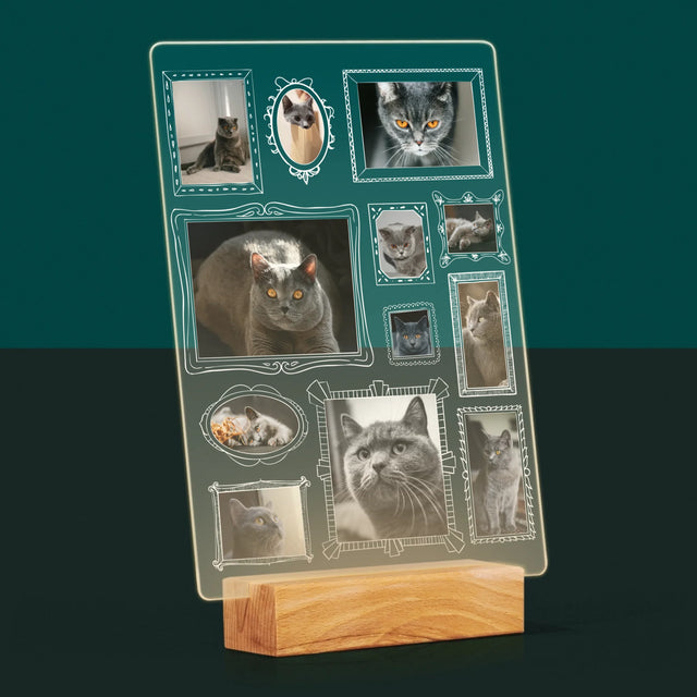 Fotokolaż: Ściana Galerii z Pupilem - Wydruk Na Szkle Akrylowym