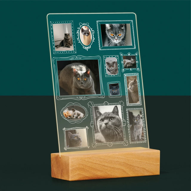 Fotokolaż: Ściana Galerii z Pupilem - Wydruk Na Szkle Akrylowym