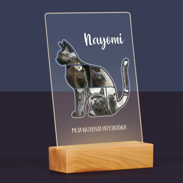 Kształt Ze Zdjęć: Kot Najlepszy Przyjaciel - Wydruk Na Szkle Akrylowym