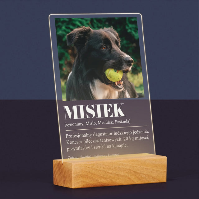 Zdjęcie i Podpis: Pupil Definicja - Wydruk Na Szkle Akrylowym