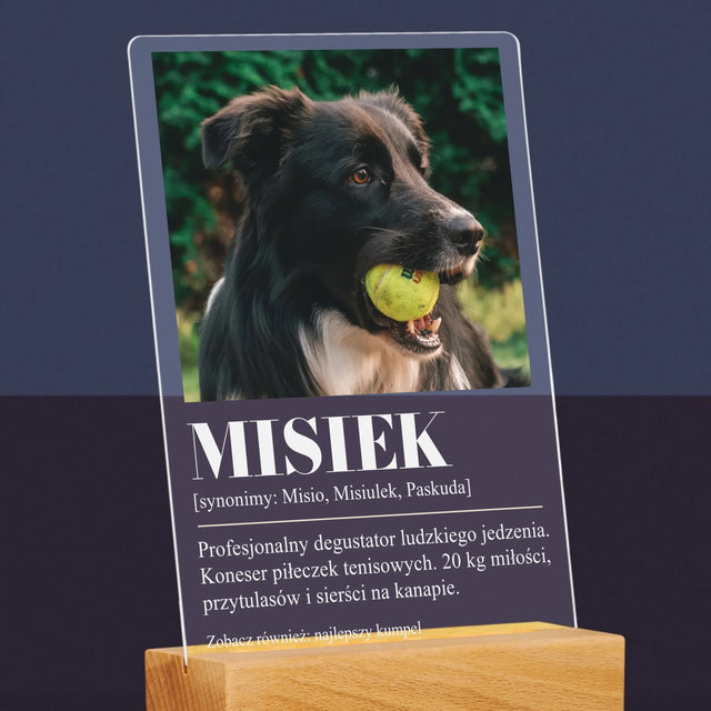 Zdjęcie i Podpis: Pupil Definicja - Wydruk Na Szkle Akrylowym