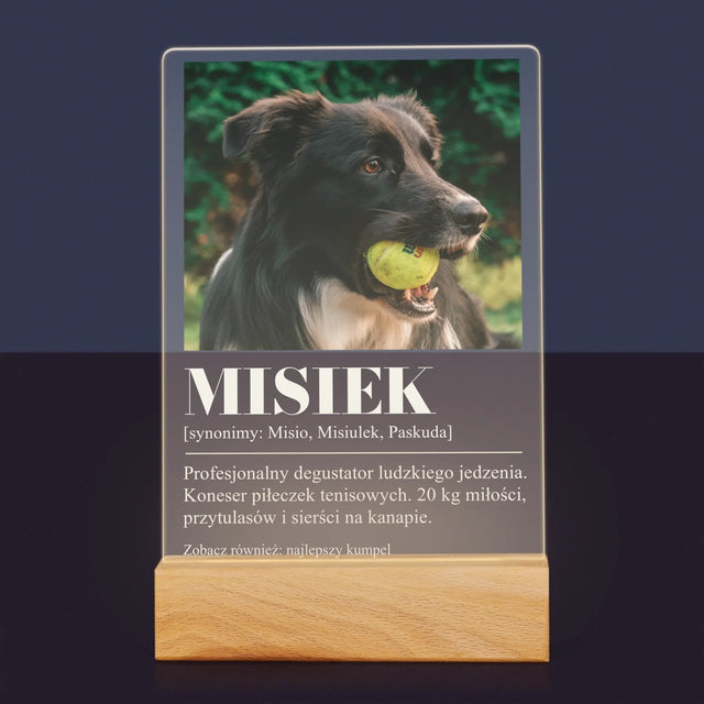 Zdjęcie i Podpis: Pupil Definicja - Wydruk Na Szkle Akrylowym