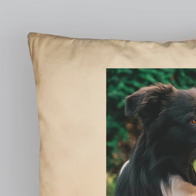 Zdjęcie i Podpis: Pupil Definicja - Poduszka z Nadrukiem