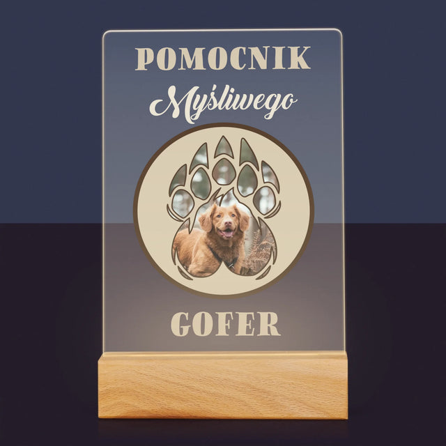 Kształt Ze Zdjęć: Pomocnik Myśliwego - Wydruk Na Szkle Akrylowym