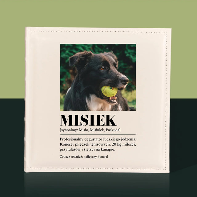 Zdjęcie i Podpis: Pupil Definicja - Album Na Zdjęcia