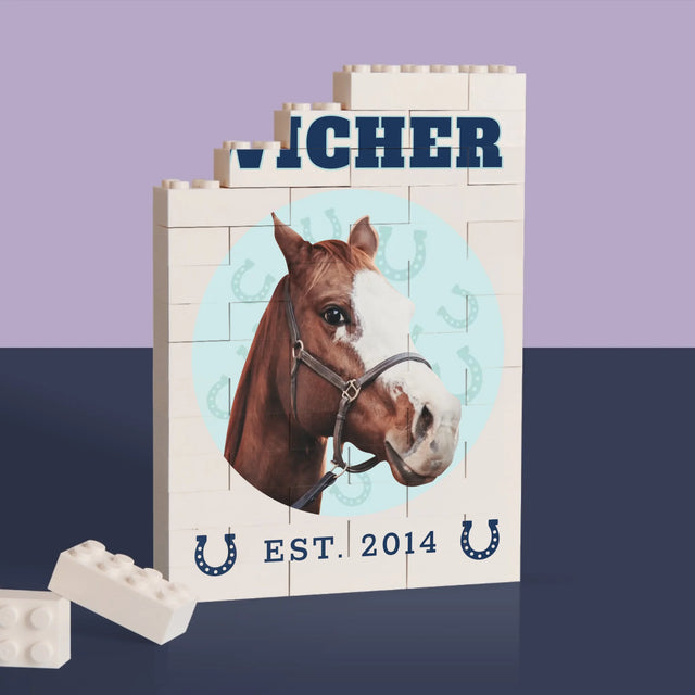 Twoja Postać: Twój Koń Varsity - Klocki LEGO z Nadrukiem