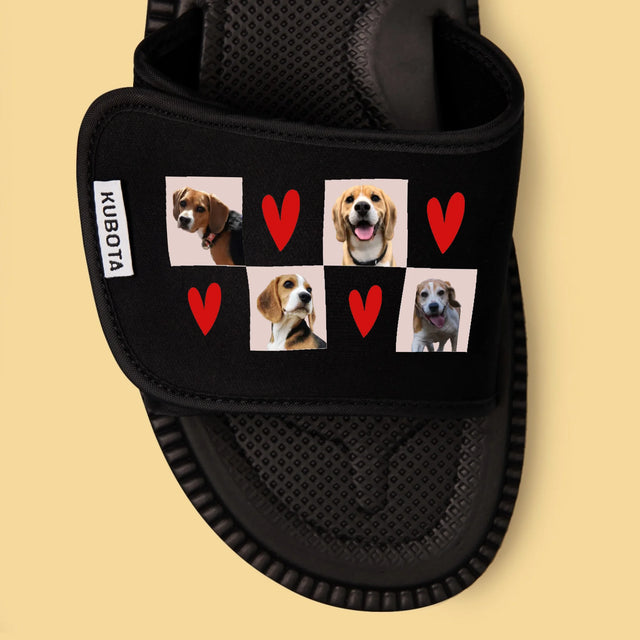 Fotokolaż: Pieski - Klapki Kubota